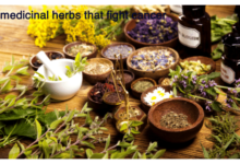 medicinal herbs that fight cancer