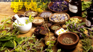 medicinal herbs that fight cancer