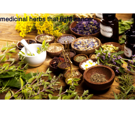 medicinal herbs that fight cancer