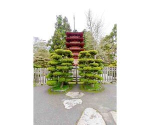 Japanese Tea Garden in San Francisco