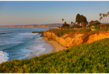 Things to do in La Jolla Cove