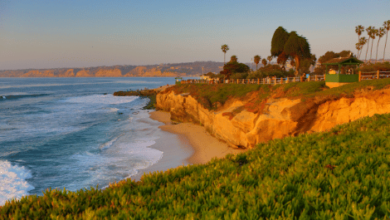 Things to do in La Jolla Cove