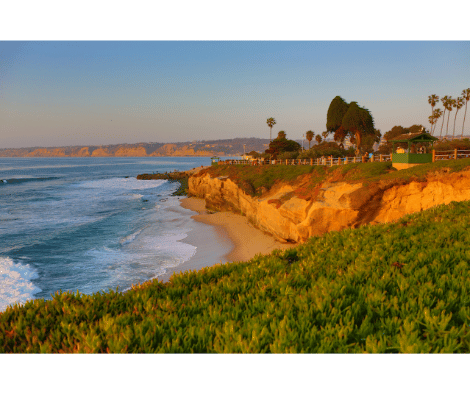 Things to do in La Jolla Cove