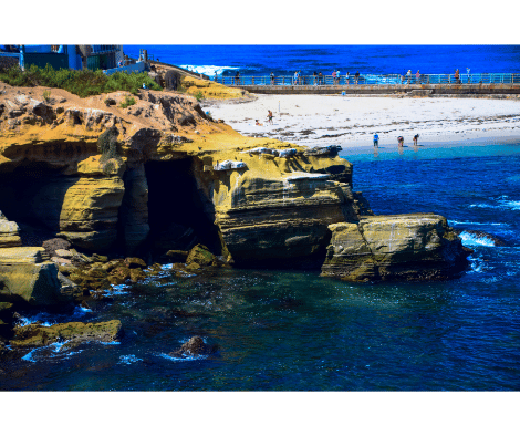 The most important tourist attractions in La Jolla Cove