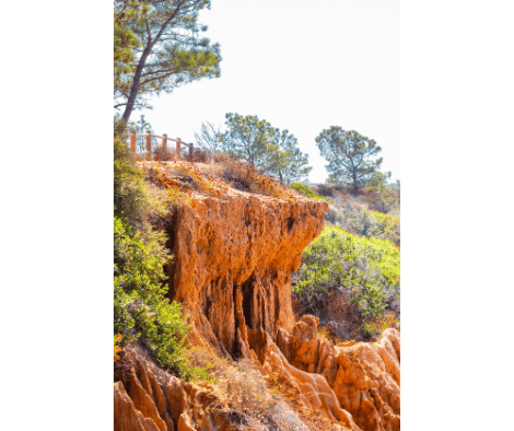 Torrey Pines State Nature Reserve - Torrey Pines - Coastal Reserve - California Coastal Landscape - Hiking Trails - Jay Fleming Trail