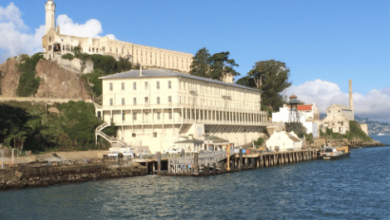 Alcatraz Island - Pelican Island