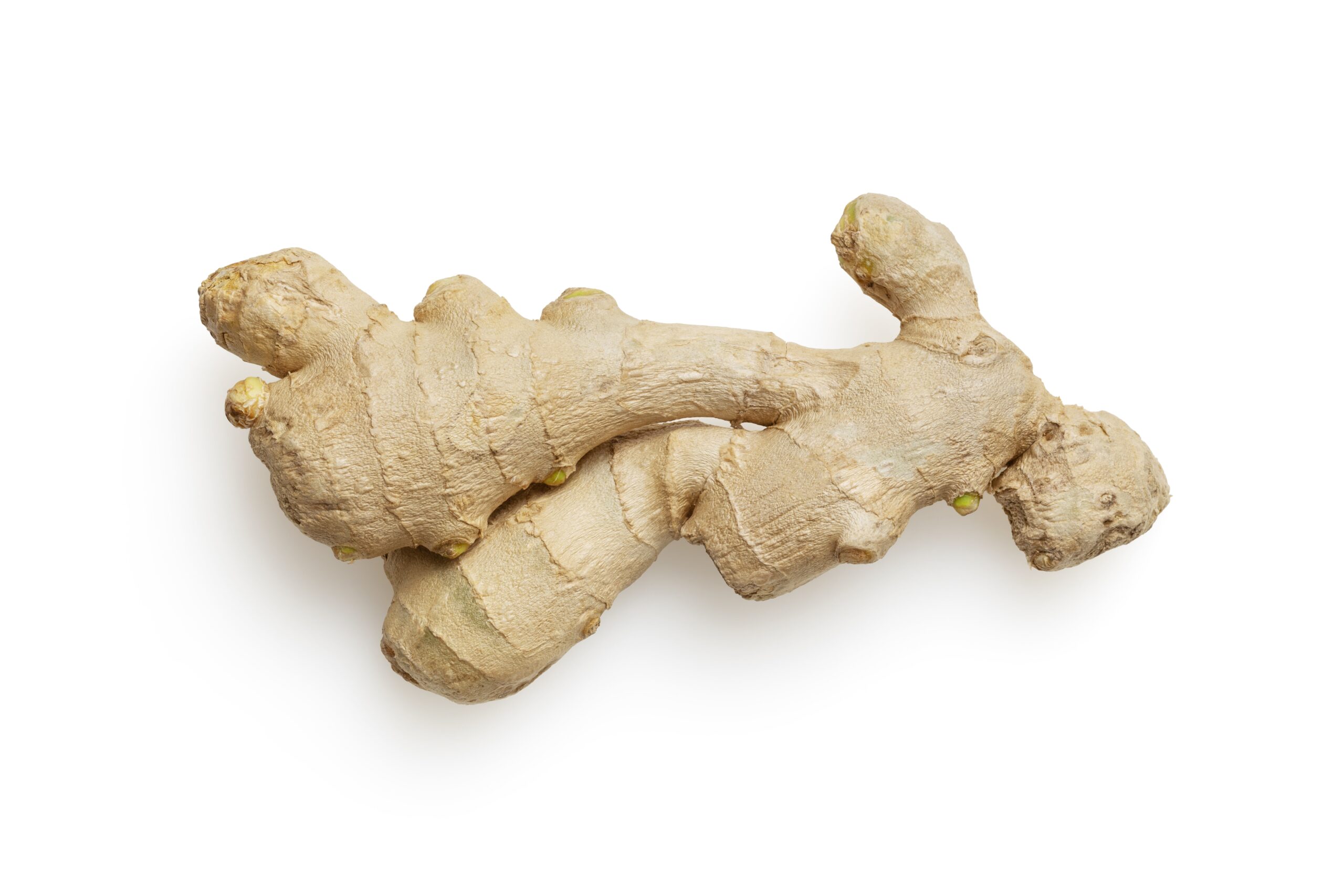 Discover the amazing benefits of ginger, a natural wonder with numerous health benefits. Learn how ginger soothes digestive problems, boosts the immune system, relieves pain and inflammation, supports heart health, and enhances brain function. Incorporate ginger into your diet and experience the amazing rewards of this versatile root - ginger is a natural remedy for high blood pressure patients