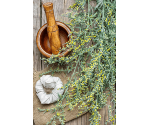 wormwood herb