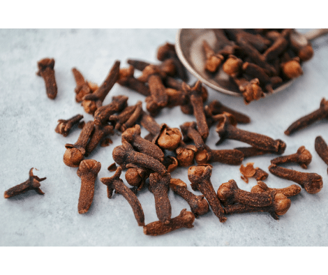 Cinnamon Herb