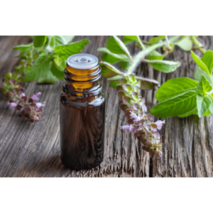 Benefits and uses of the tulsi herb and its benefits for hair