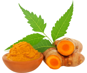 Turmeric Herb The importance and uses of its herb